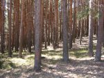 Foto8.JPG