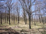 Foto11.JPG