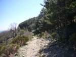Foto14.JPG