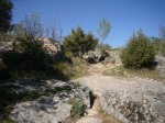 Foto33.JPG