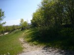 Foto35.JPG