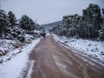 IMG_0188.jpg