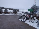 IMG_0193.jpg