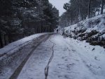 IMG_0194.jpg