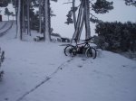 IMG_0195.jpg