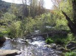 IMG_0009.jpg