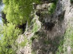 IMG_0011.jpg