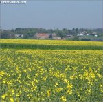 fleche-farmland.jpg