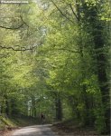 fleche-hautbois.jpg