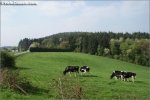 fleche-topbonne.jpg