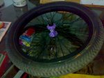 22042009510.jpg