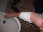 IMG_1549.jpg