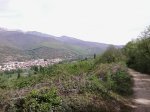 Foto0556.jpg