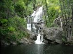 DSCN0489.jpg