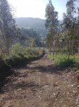 Imagen0249.jpg