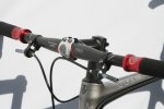 09seaotter_trek5.jpg
