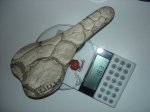 DSC08000.jpg