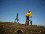 Image_010.gif