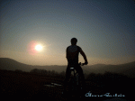Image_001.gif