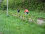IMG_3803.jpg