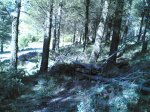 22042009(003).jpg