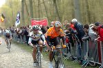paris-roubaix[1].jpg