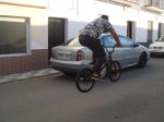 DSC03511.jpg