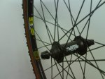 DSC00236.JPG