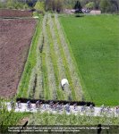 trent09st02-peloton[1].jpg
