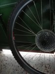 DSC02394.JPG