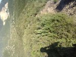 IMG_0005.jpg