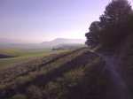 23042009084.JPG