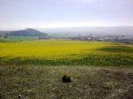23042009095.JPG