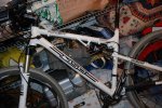 DSC_1654.jpg