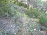 P1000200.JPG