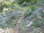 P1000201.JPG