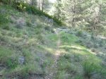 P1000203.JPG