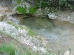 P1000179.jpg