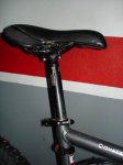 DSC04867.jpg