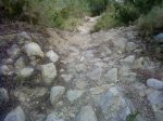 P25-04-09_09.44.jpg