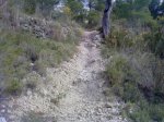 P25-04-09_09.43.jpg