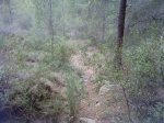 P09-04-09_18.59[1].jpg