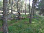 P1000220.JPG