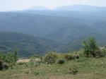 IMG_4934.JPG
