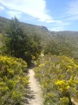 DSC00474.jpg