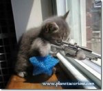 gatito_apuntando1.jpg