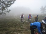IMG_7768.JPG