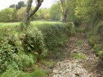 PICT0690.jpg
