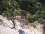 100_0529.jpg