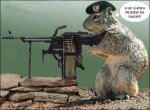 ardilla-rambo.jpg
